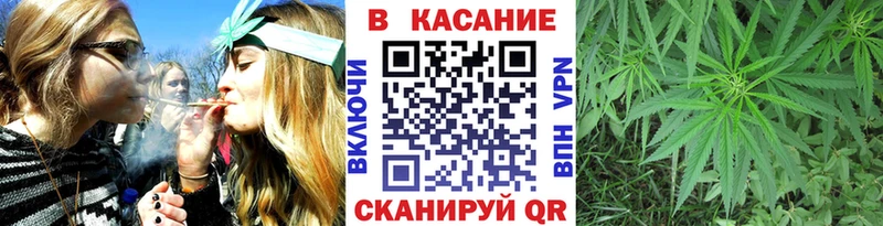 Где купить наркотики Заречный КОКАИН ГЕРОИН Псилоцибиновые грибы Конопля Мефедрон