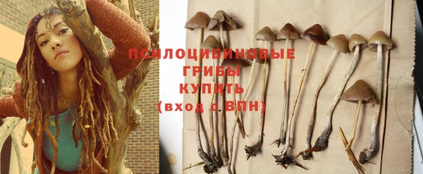 сатива Дмитров