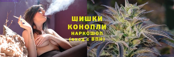 сатива Дмитров