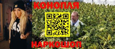 apvp Кимры