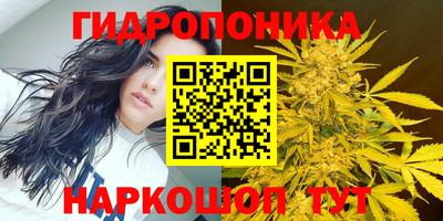 PSILOCYBIN Бугуруслан