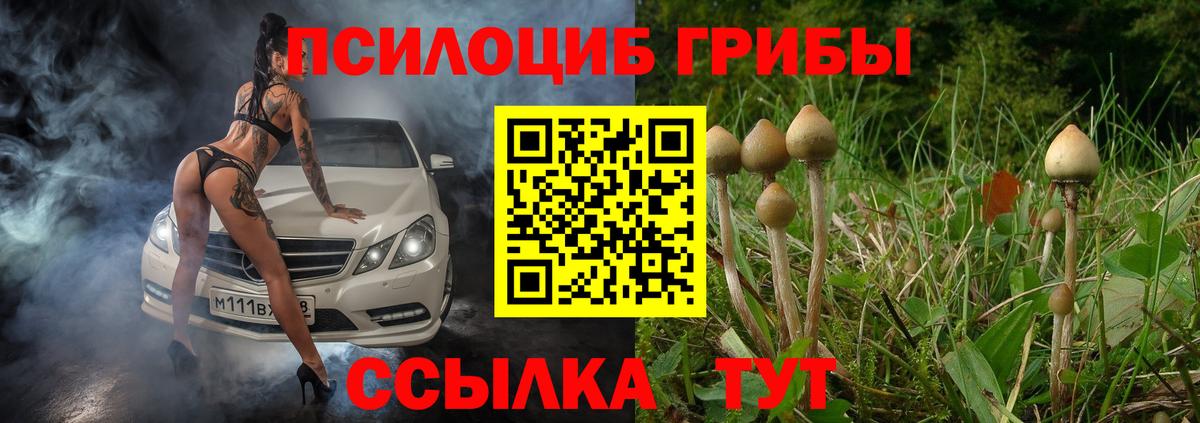 Псилоцибиновые грибы Magic Shrooms  Псилоцибиновые грибы ЛСД  магазин продажи наркотиков  Заречный 