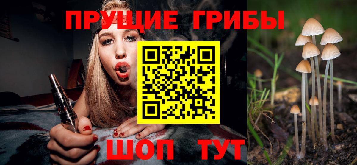 Псилоцибиновые грибы GOLDEN TEACHER Заречный